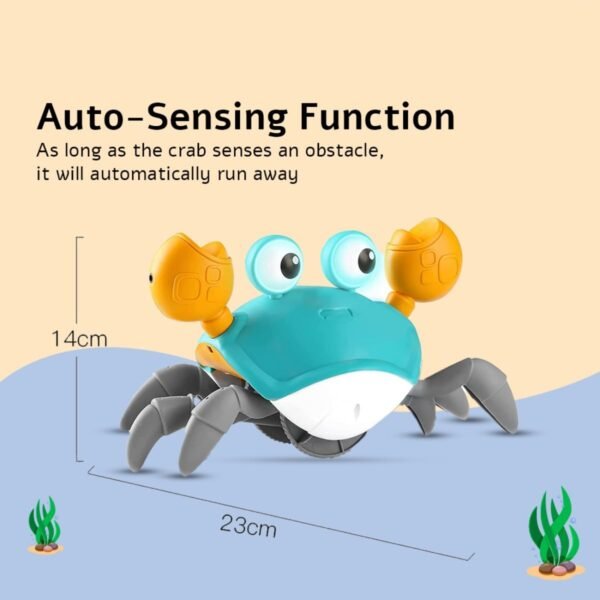 Crawling Crab