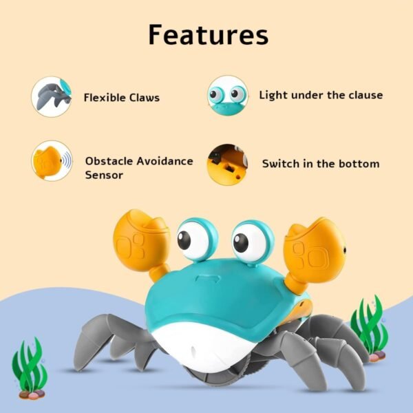 Crawling Crab - Image 5