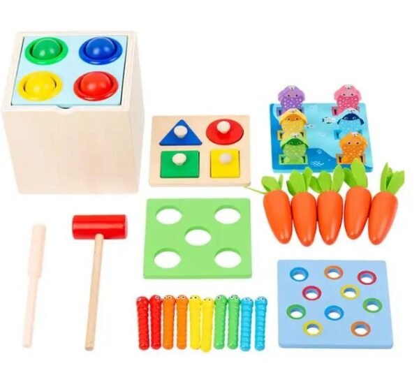 Early Learning Toy 5 in 1