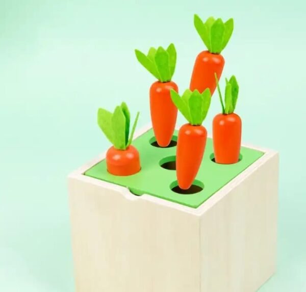 Early Learning Toy 5 in 1 - Image 4